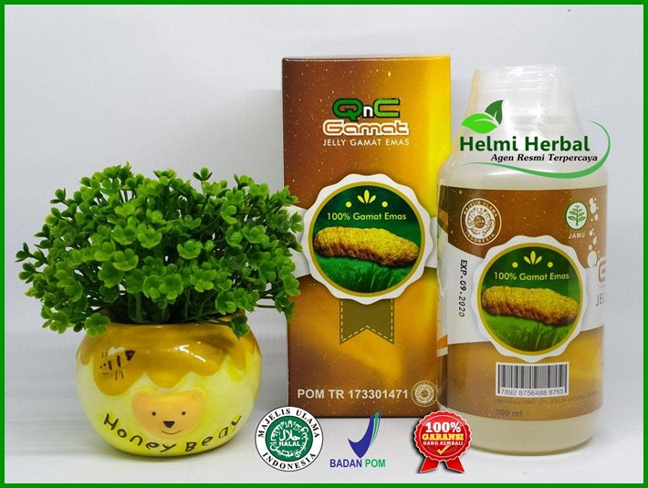 Obat Batu Empedu Herbal